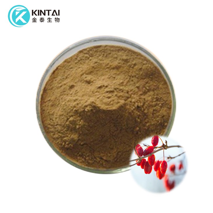 Chiết xuất trái cây anh đào