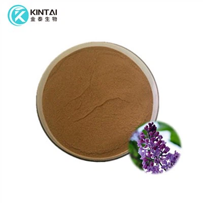 bột chiết xuất đinh hương