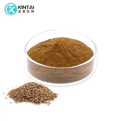 Bột chiết xuất hạt cây thì là
