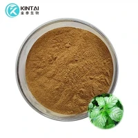 Bột chiết xuất Gynostemma