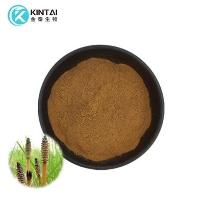 Bột chiết xuất đuôi ngựa