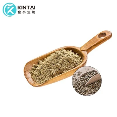 Bột protein hạt cây gai dầu