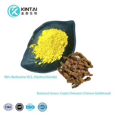 Bột hydrochloride Berberine